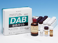 DAB染色キット 