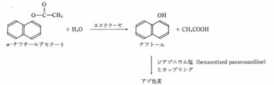 原理