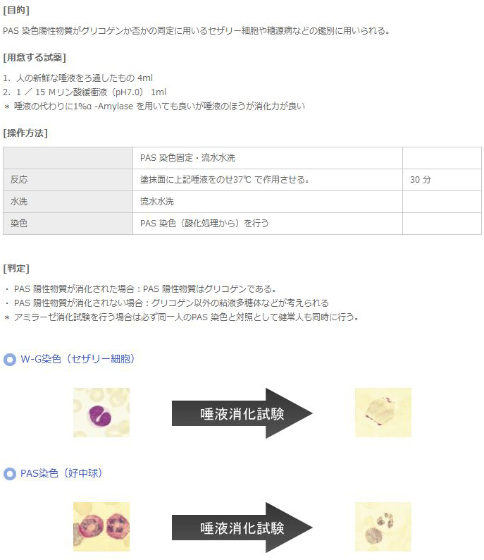 アミラーゼ消化試験