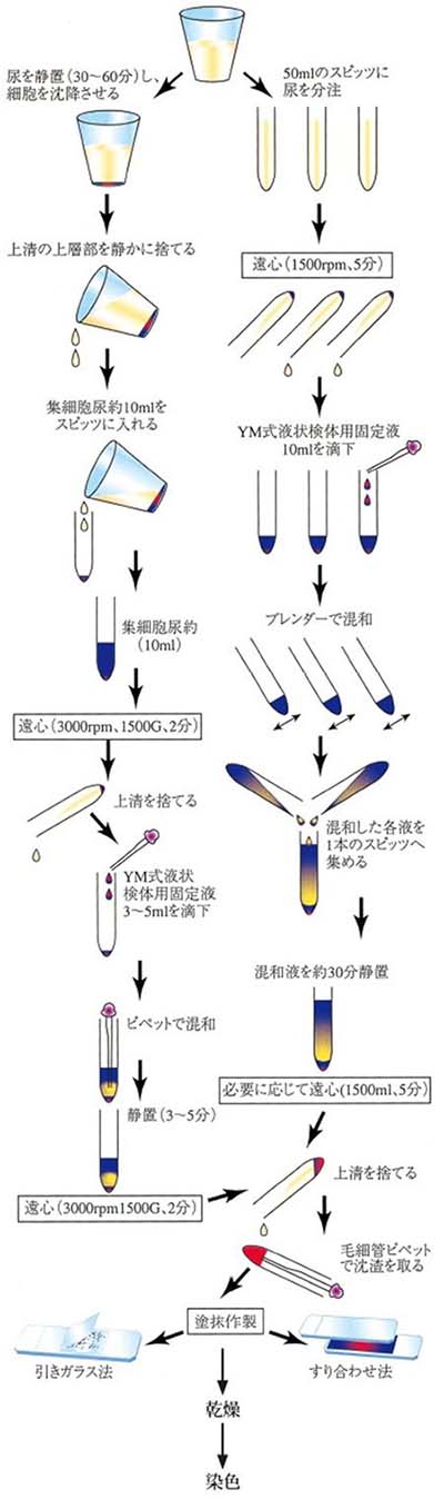 使用方法