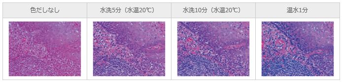 色だし方法による染色結果