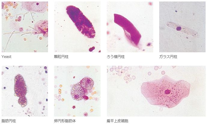 臨床検査用染色液 試薬及び顕微鏡用グラス 替刃等に貢献する武藤化学株式会社