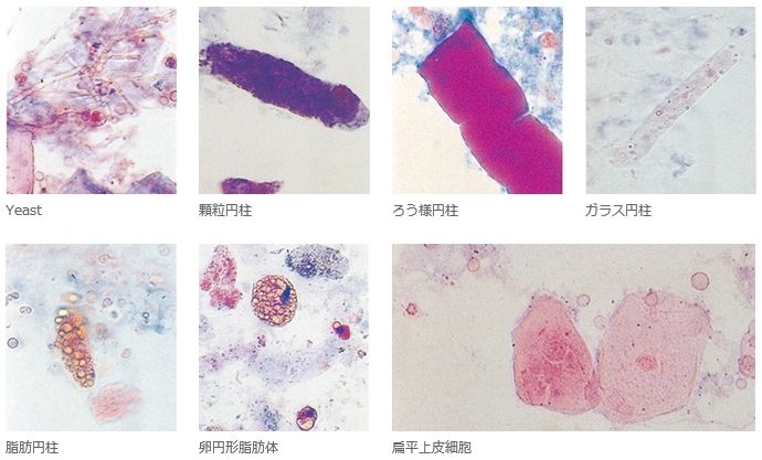 臨床検査用染色液 試薬及び顕微鏡用グラス 替刃等に貢献する武藤化学株式会社