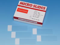 Silane coated slide